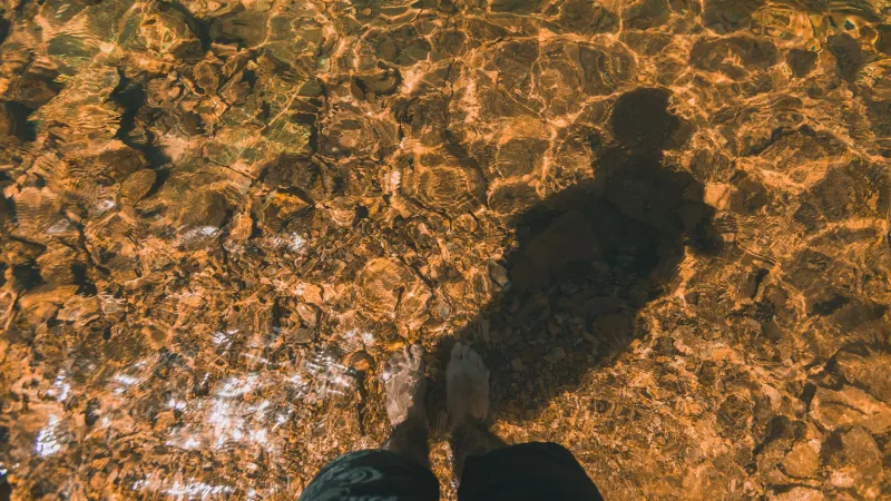 TVL Is Lying to You: How to Spot Fake Pool Depth Before You Get Burned